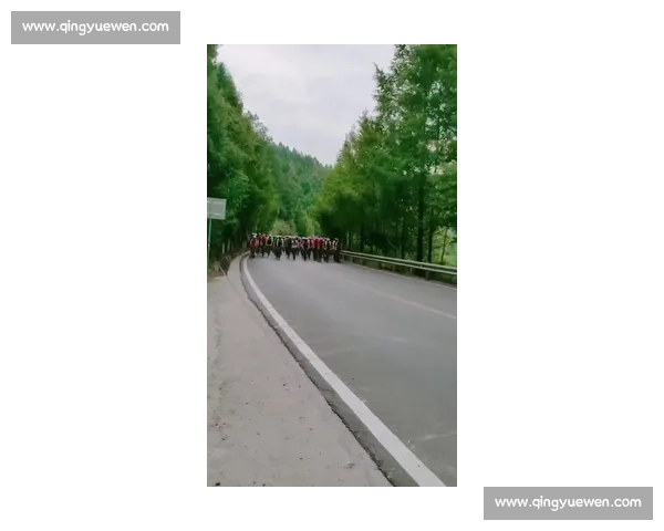 平昌自行车比赛精彩回顾与未来发展趋势探讨